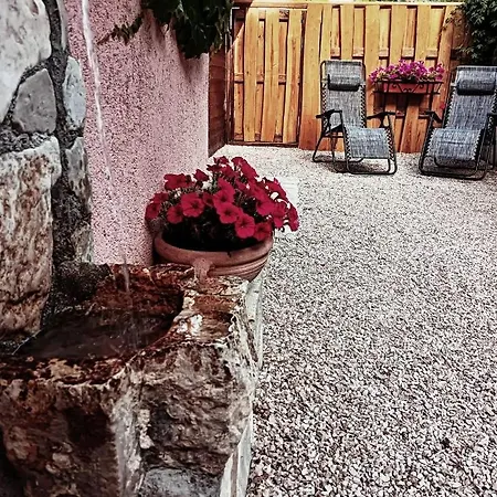 Vacanze Il Daino Apartment *
