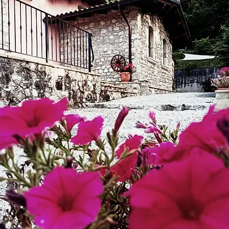 Apartment Vacanze Il Daino