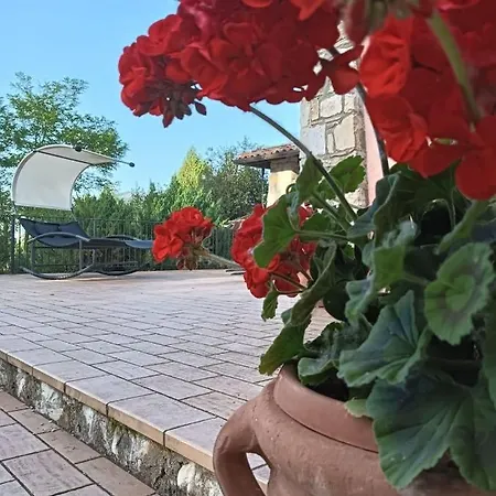 Vacanze Il Daino