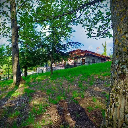Vacanze Il Daino Apartment